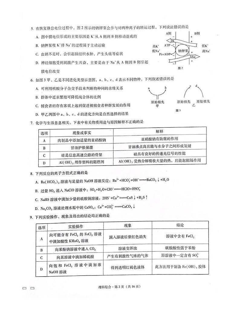 巴蜀中学适应性月考卷（七）理科综合试题第2页