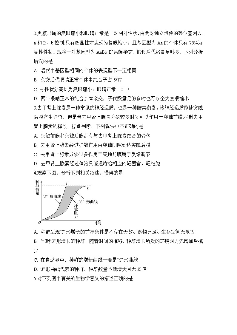 2020定远县民族中学高三5月模拟检测理科综合试题含答案第2页