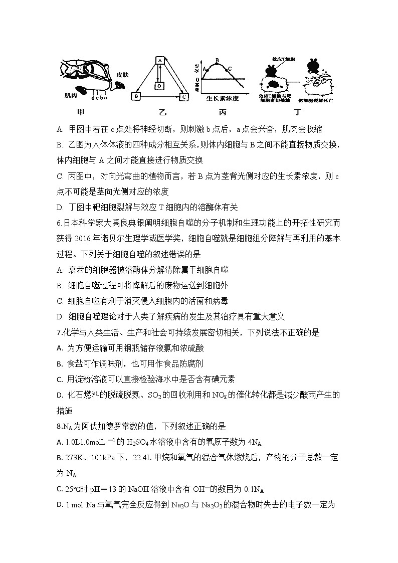 2020定远县民族中学高三5月模拟检测理科综合试题含答案第3页