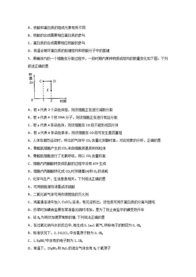 2020泸县一中高三下学期第二次月考理科综合试题含答案第2页