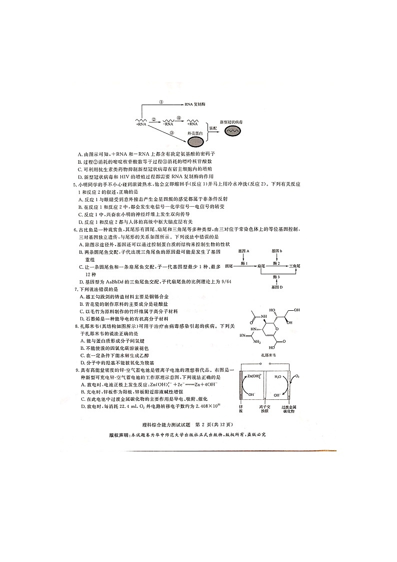 【KS5U发布】华大新高考联盟2020届4月份教学质量测评 理科综合试题第2页