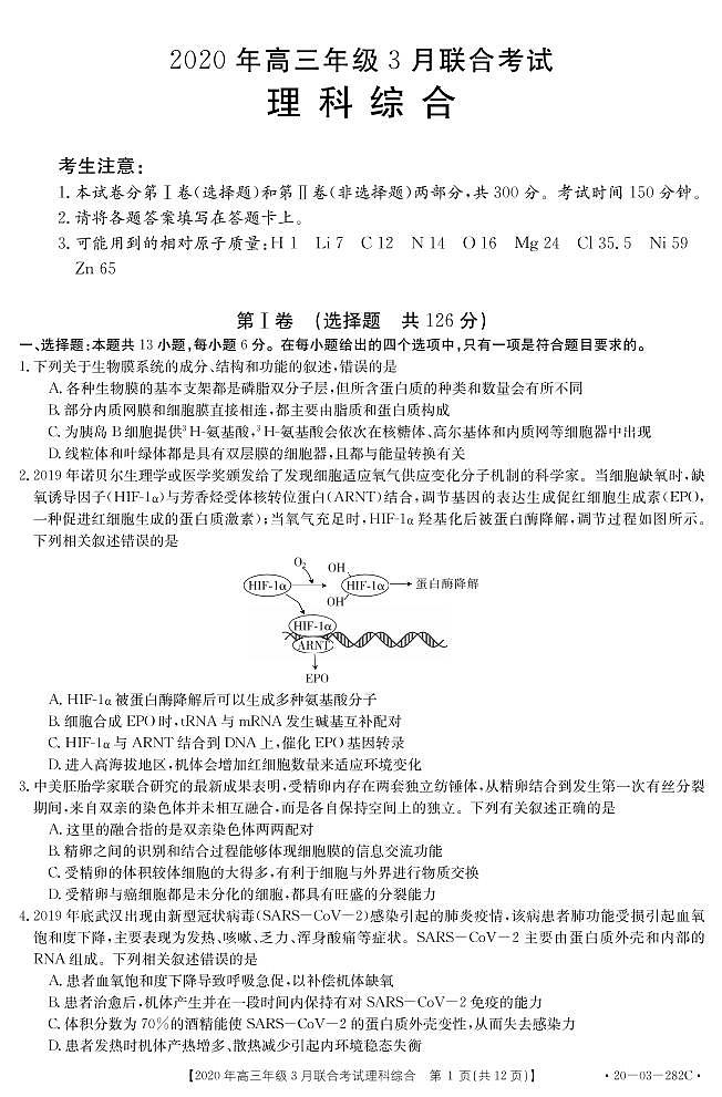 河北省2020年3月高三下学期联考全国卷1理科综合试题 282C（PDF版，无答案） - 副本第1页