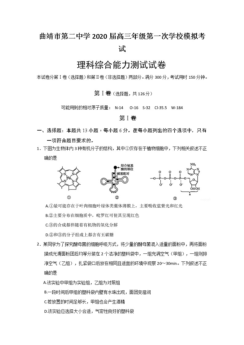 2020曲靖二中高三第一次模拟考试理科综合试题含答案01