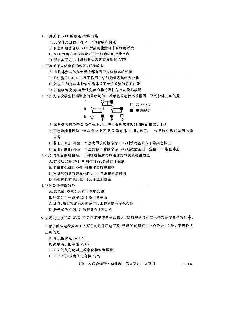 2020桂林高三第一次联合调研考试理科综合试题扫描版含答案02