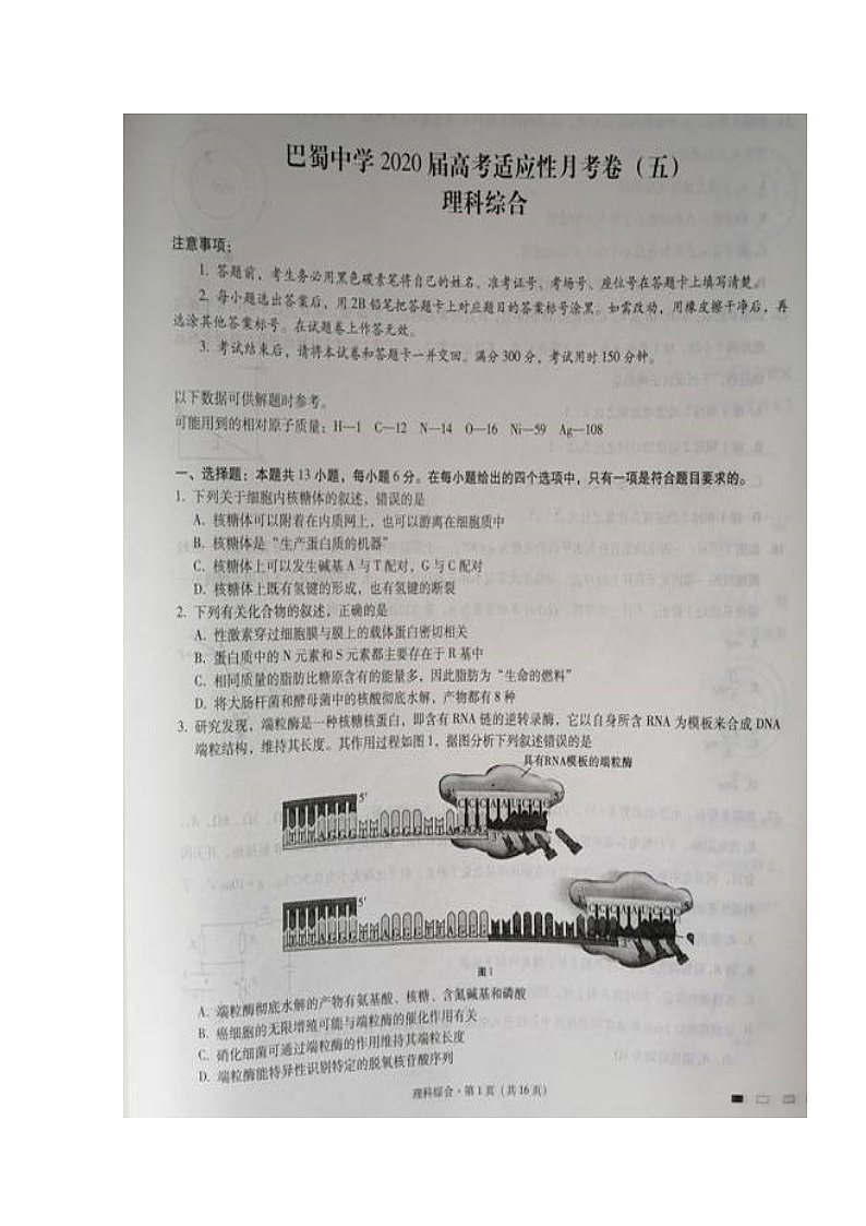 2020重庆市巴蜀中学高三高考适应性月考卷（五）理科综合试题扫描版含答案第1页