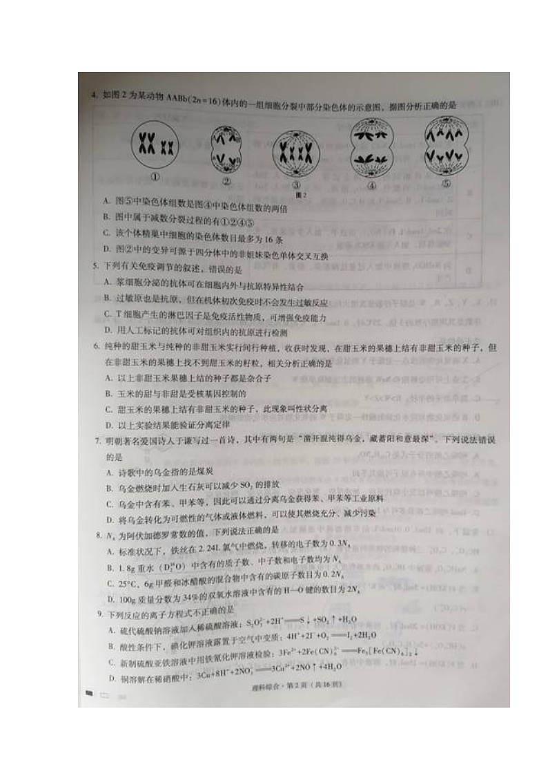 2020重庆市巴蜀中学高三高考适应性月考卷（五）理科综合试题扫描版含答案第2页