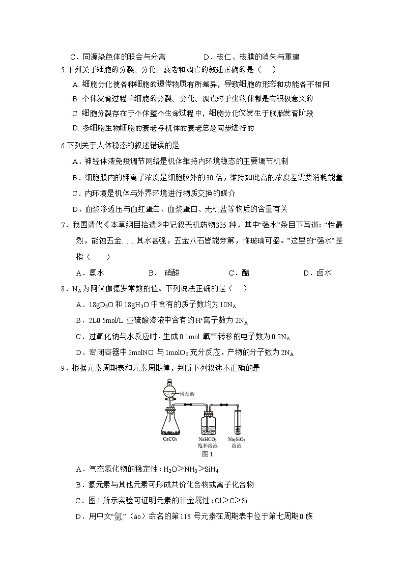 2020古浪县二中高三上学期第二次模拟考试理科综合试题缺答案02