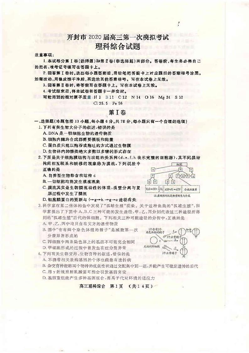 2020开封高三第一次模拟考试理综试题PDF版含答案01