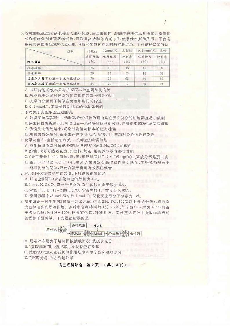 2020开封高三第一次模拟考试理综试题PDF版含答案02