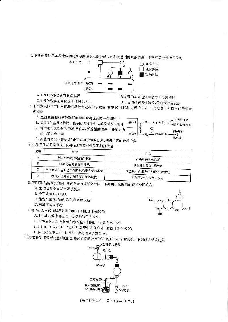 2023届四川省高三上学期10月大联考理综试题 PDF版02
