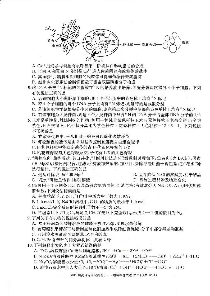 四川省2023届高三高考专家联测卷（一）理综试题PDF版无答案第2页