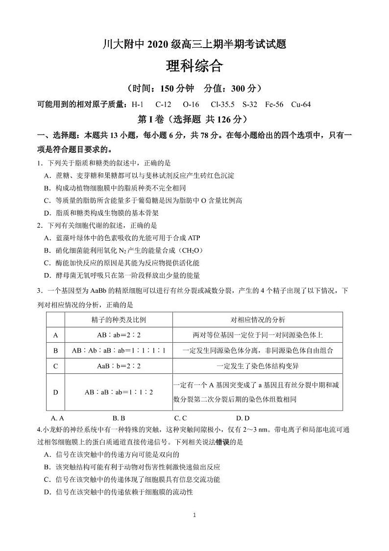 2023四川师大附中高三上学期期中考试理综试题PDF版无答案（可编辑）01