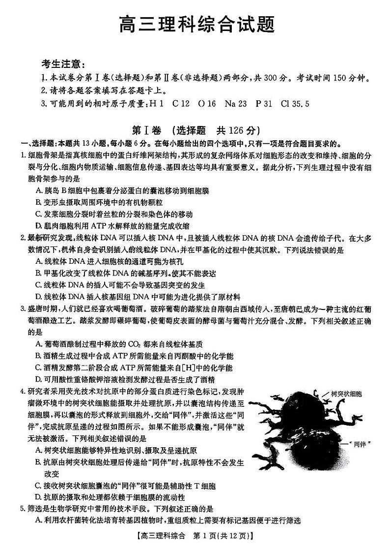山西省部分学校2022-2023学年高三上学期12月联考理科综合试题01
