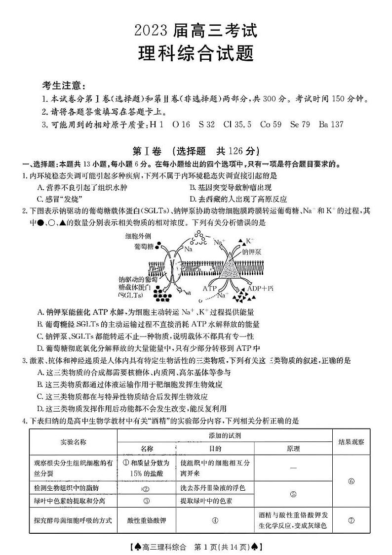 四川省部分学校2022-2023学年高三上学期12月大联考理科综合试题（含答案）01