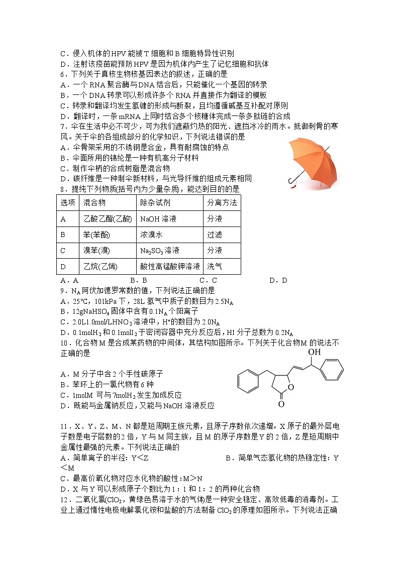 宜宾市叙州区第二中学2023届高三理综上学期期末考试试卷（Word版附答案）02