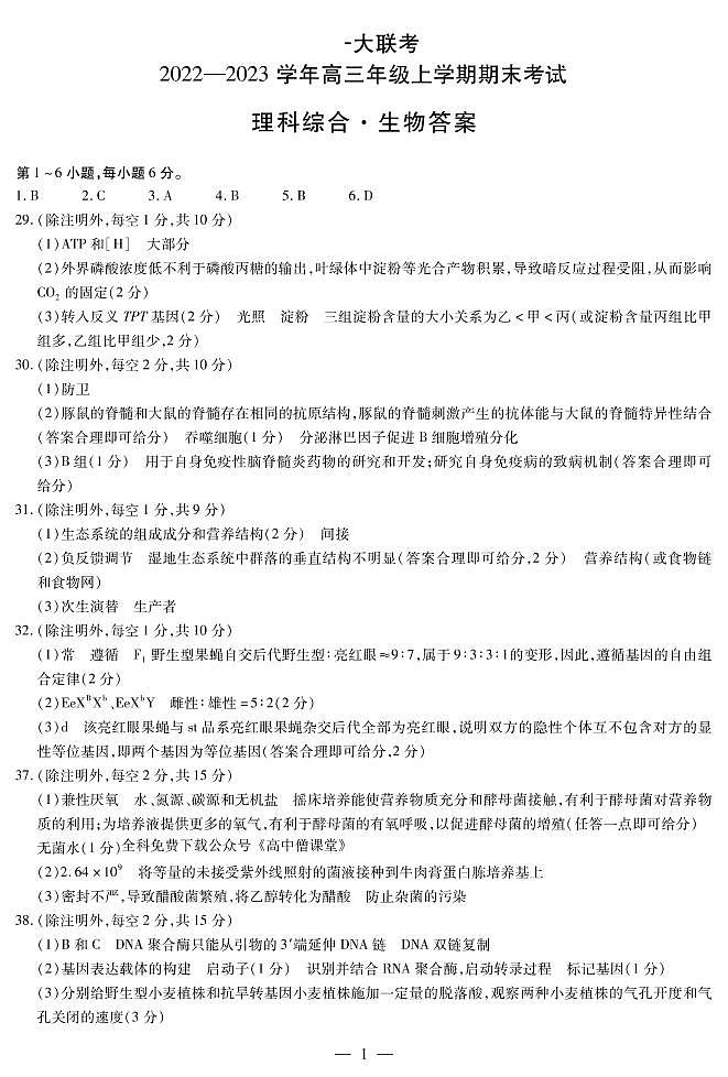 2023河南省天一大联考高三上学期期末考试理综PDF版含答案01
