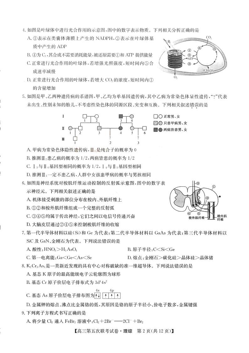 2023山西省部分学校高三上学期第五次联考试题理综PDF版含答案02