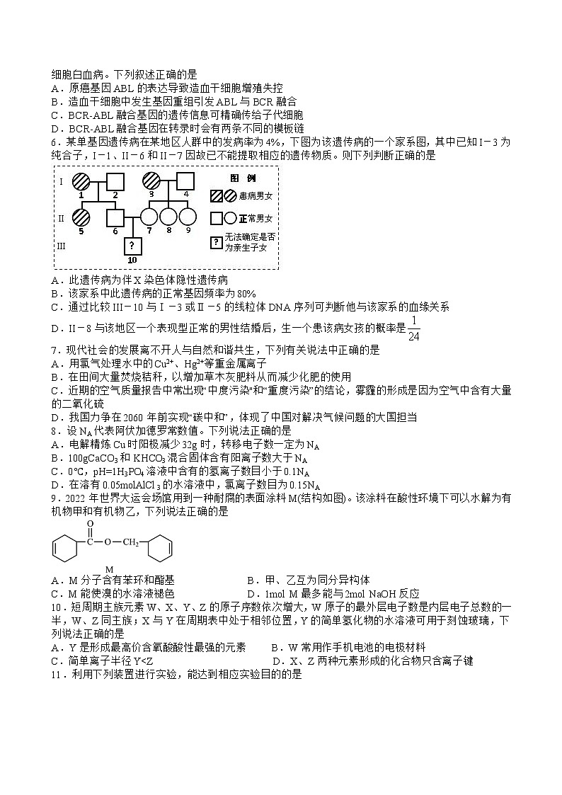 2023泸县四中高三上学期期末考试理综试题含答案02
