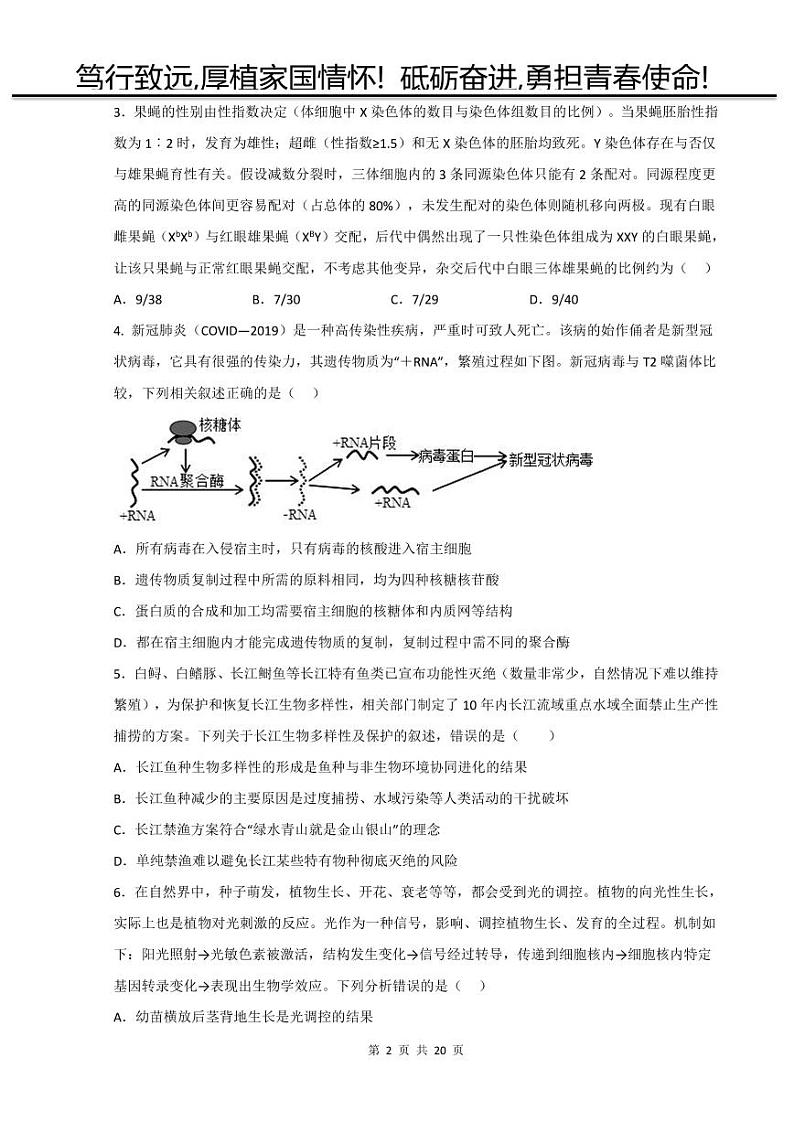 2022-2023学年吉林省通化市梅河口市第五中学高三上学期2月期末理综试题 PDF版第2页