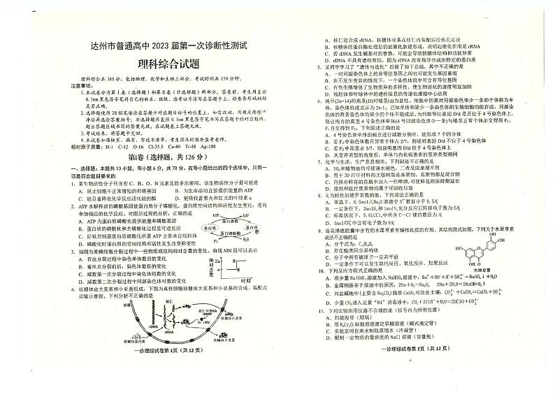 2022-2023学年四川省达州市普通高中高三上学期第一次诊断性测试（一模）理综试题 扫描版01