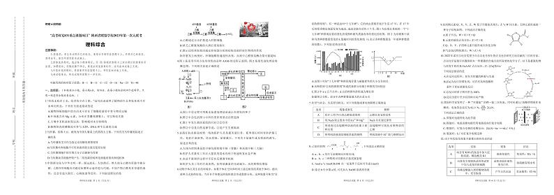 2023陕西省联盟学校“高考研究831重点课题项目”高三第一次大联考理综试题PDF版含答案01