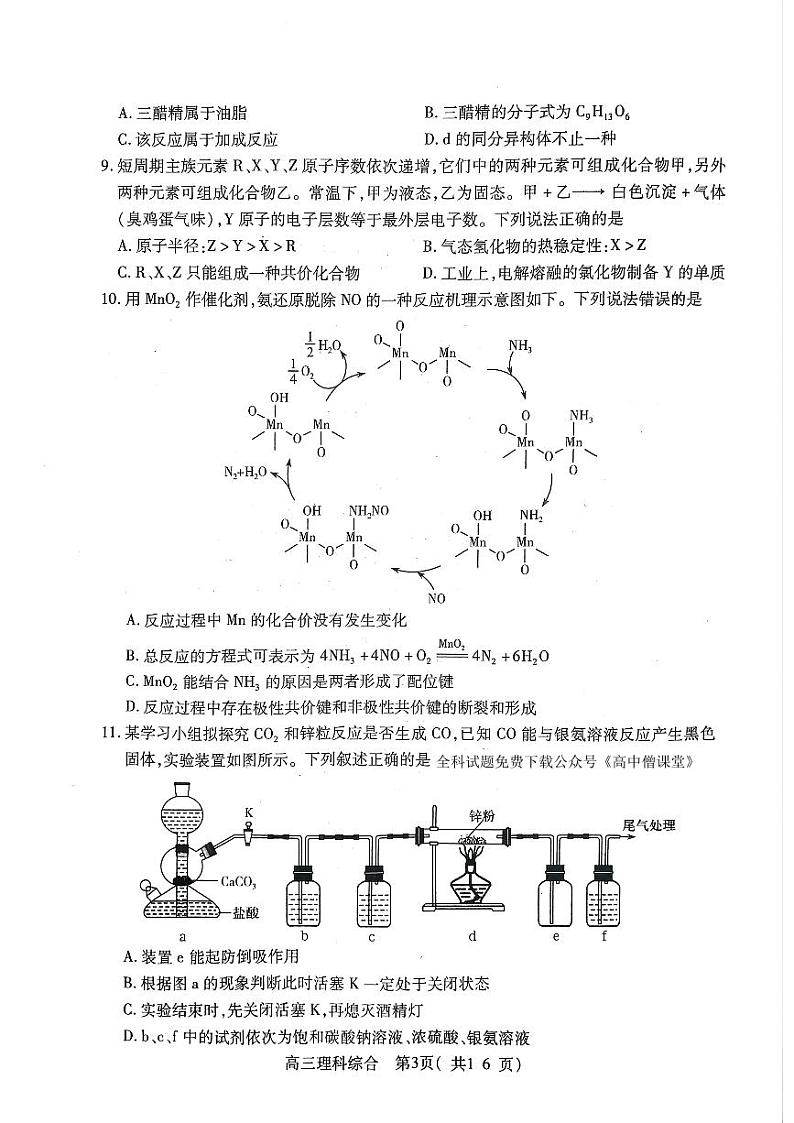 2023洛阳、平顶山、许昌、济源联盟高三第二次质量检测理科综合试题PDF版含答案03