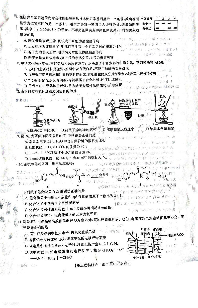 2023白山高三下学期二模考试理综试题扫描版含答案02