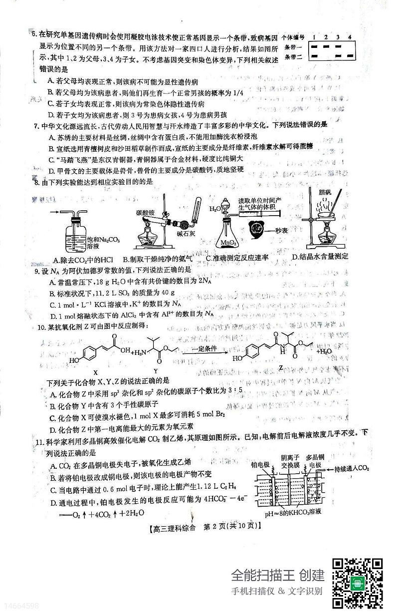 2023届吉林省白山市高三二模联考理综试题及答案第2页