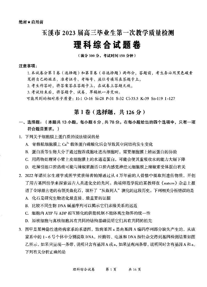 2023年云南省玉溪市高三一模理科综合试题含答案解析第1页