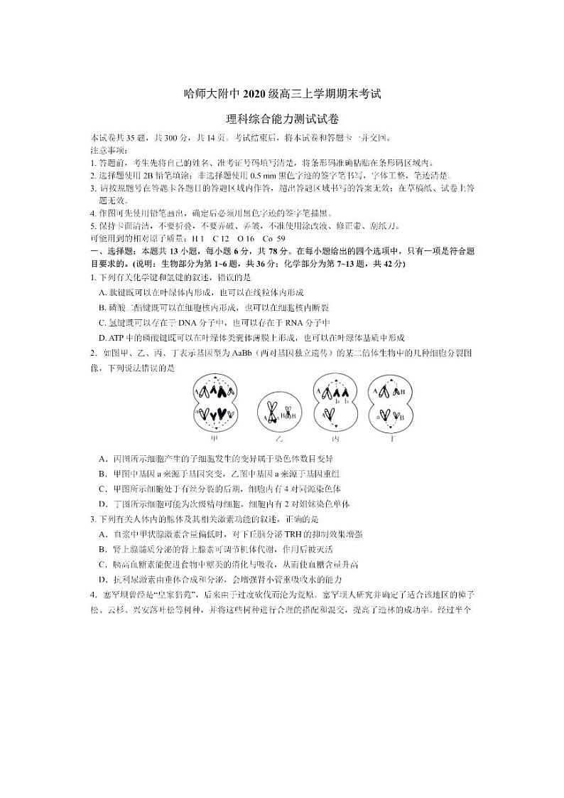 2022-2023学年黑龙江省哈尔滨师范大学附属中学高三上学期期末考试 理综 PDF版第1页