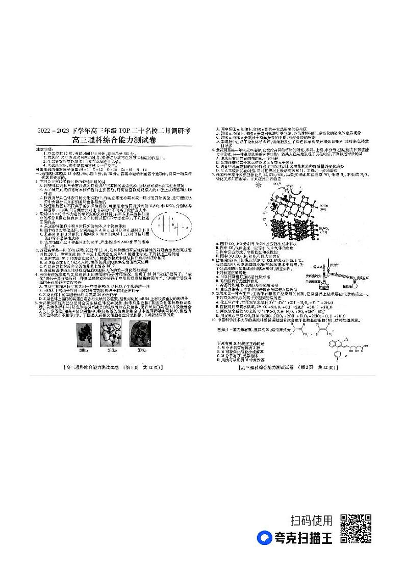 河南省TOP二十名校2022-2023学年高三二月调研考试理综试卷01