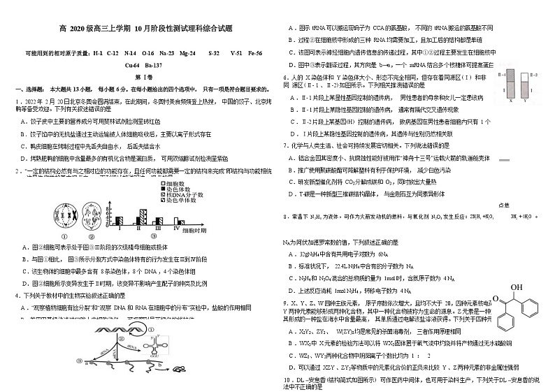 四川省成都市第九中学2023届高三上学期10月阶段性测试理综试题（Word版含答案）第1页