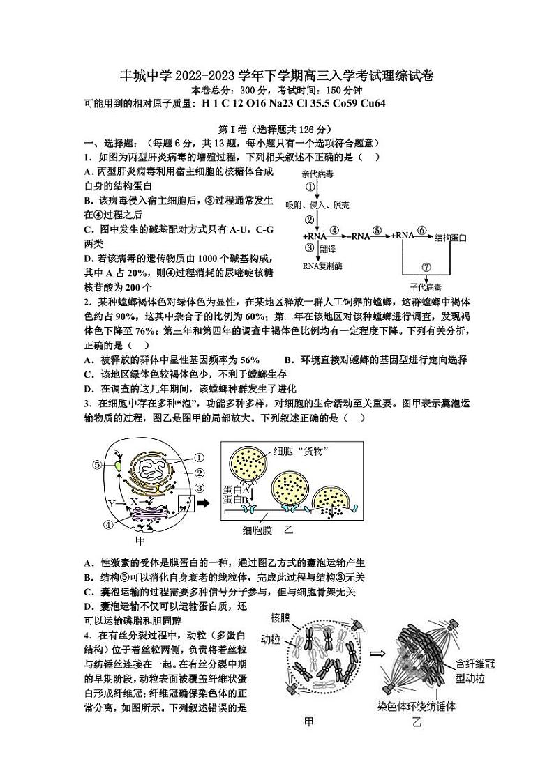 2023江西省丰城中学高三下学期入学考试理综PDF版无答案01