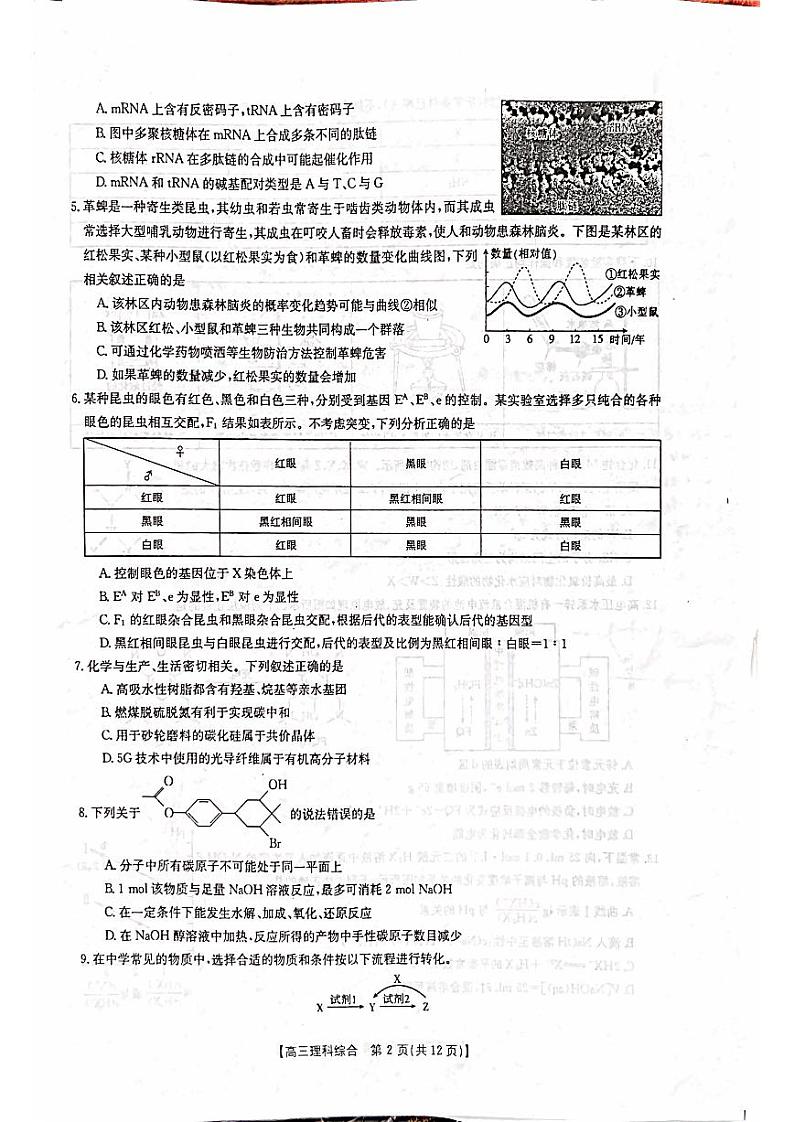 2023忻州高三下学期百日冲刺试题（一模）理综PDF版含答案02