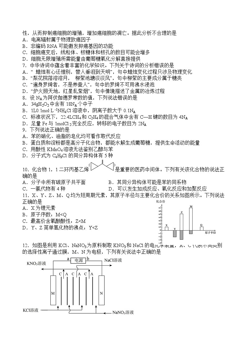 四川省泸州市2022-2023学年泸县第四中学高三二诊模拟考试理综试题（含答案）02