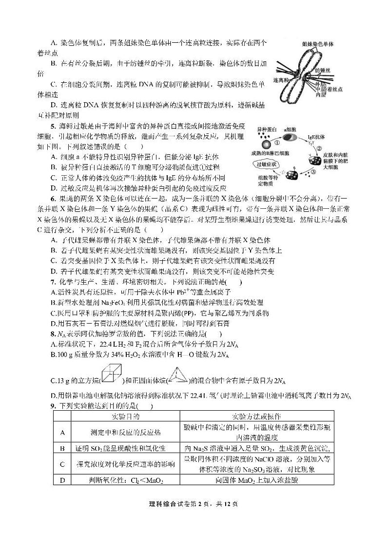 四川省成都七中高2023届高三理科综合下期入学考试试卷第2页