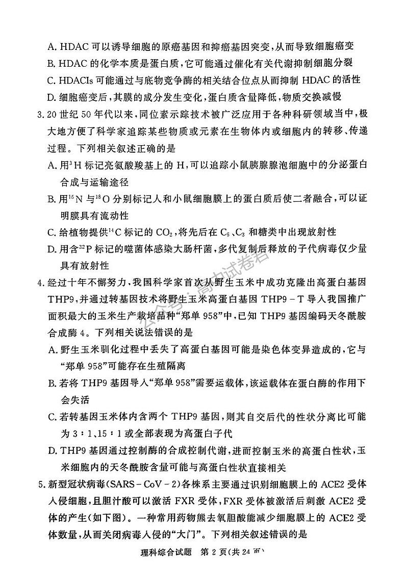 2023年3月湘豫名校联考高三第一模拟考试理科综合试题含答案解析第2页