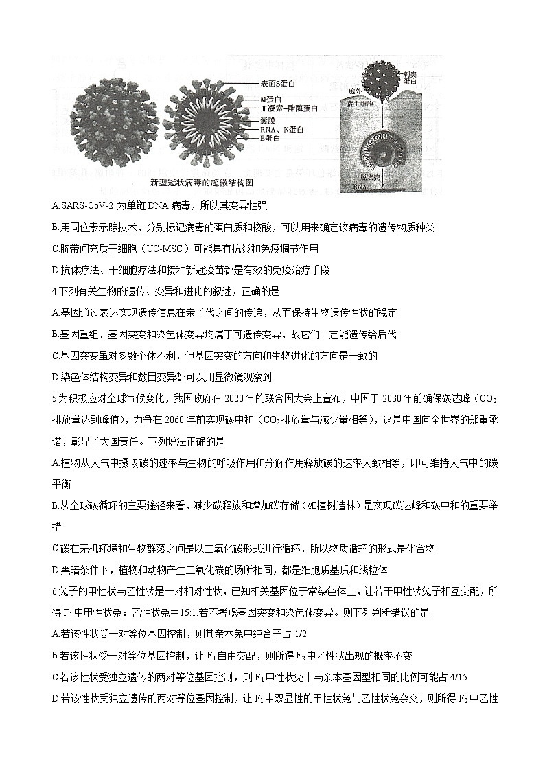 2022届河南省六市高三第一次联合调研检测（三模）理科综合试题 word版02