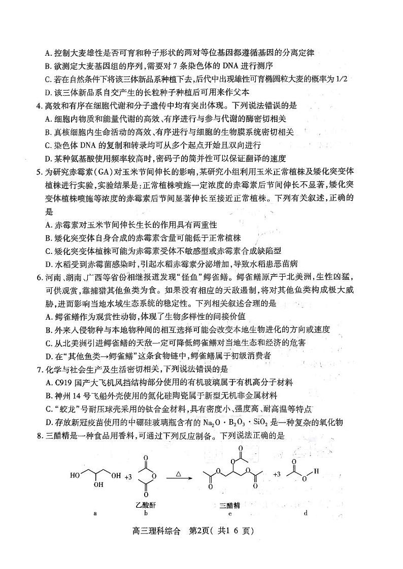 2022-2023学年河南省平许济洛联考高三下学期第二次质量检测（月考）理综试题PDF版含答案02