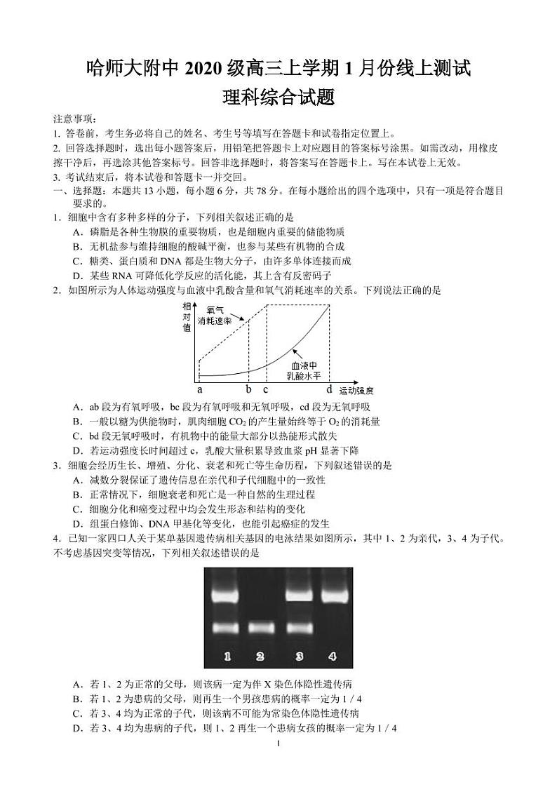 2022-2023学年黑龙江省哈尔滨师范大学附属中学高三上学期1月份线上测试理综PDF版含答案01
