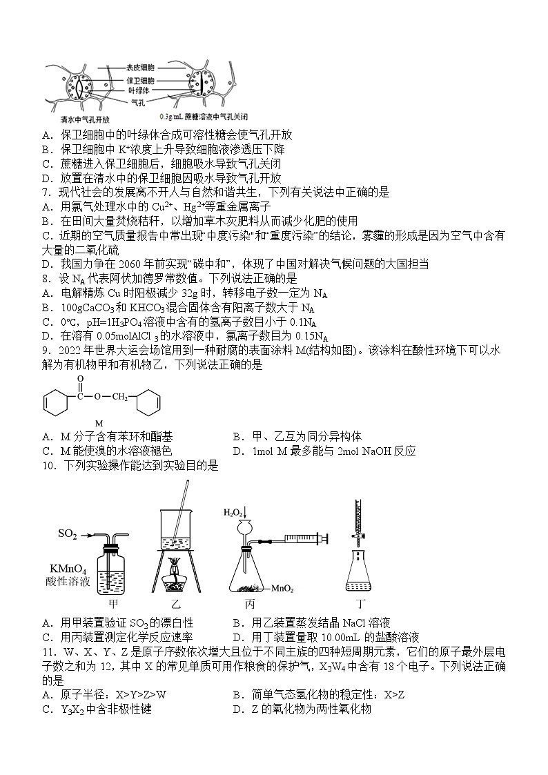 2022-2023学年四川省宜宾市叙州区第一中学高三下学期开学考试理综试题第2页