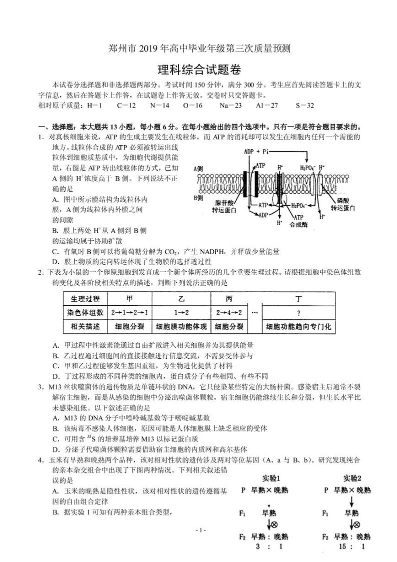 2019届河南省郑州市高三第三次质量预测理综试卷（PDF版）第1页