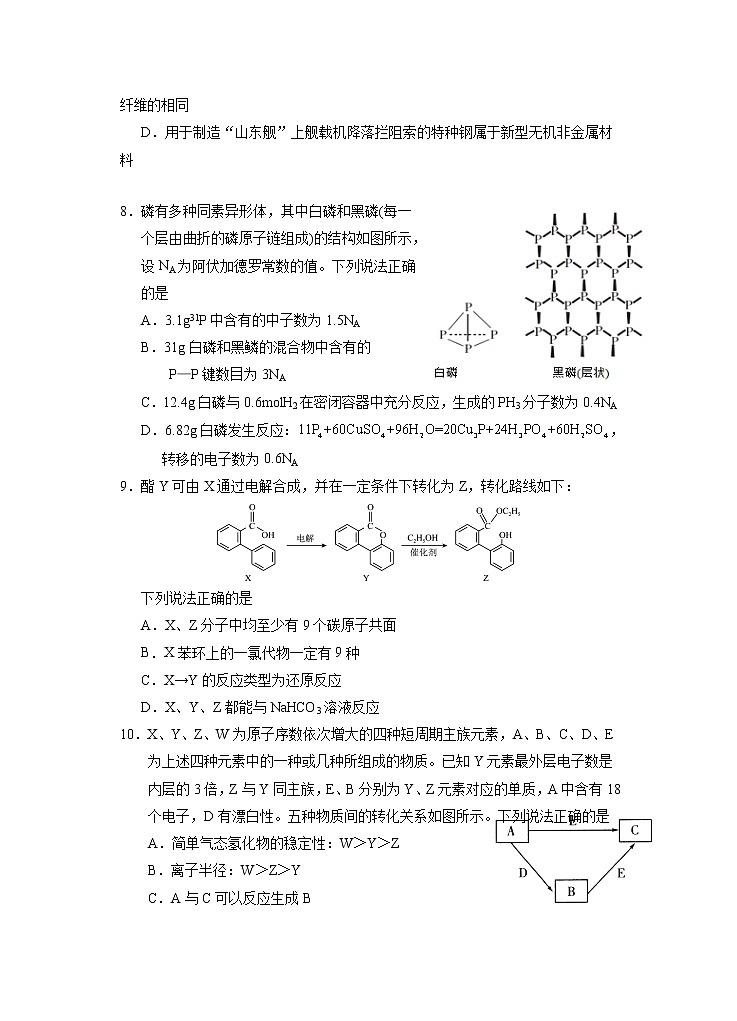 2023届一模理综试卷第3页