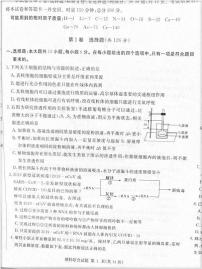 2023炎德英才长郡十八校联盟高三第一次联考试题（全国卷）理综PDF版含解析