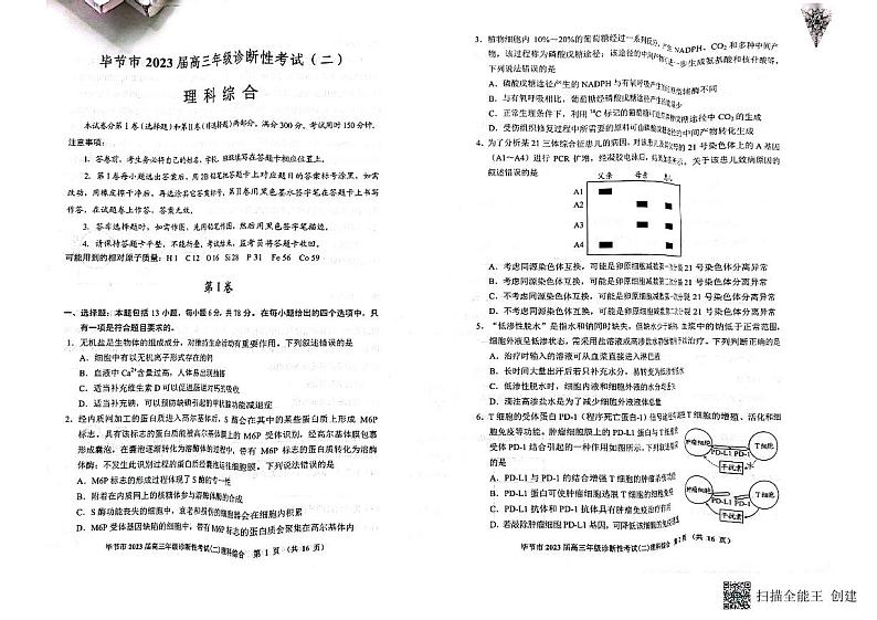 2022-2023学年贵州省毕节市高三下学期第二次诊断性考试理综试题 PDF版01
