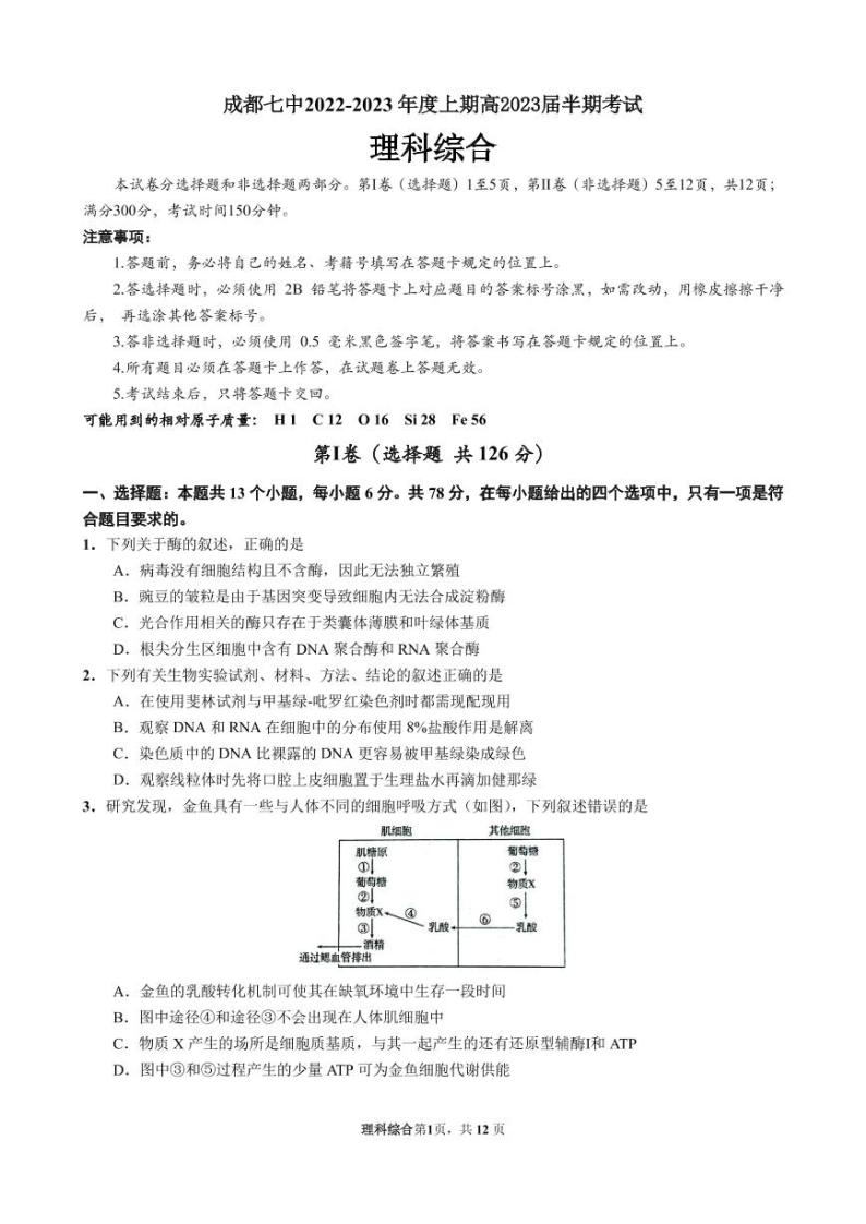 2022-2023学年四川省成都市第七中学高三上学期期中考试理综PDF版含答案01