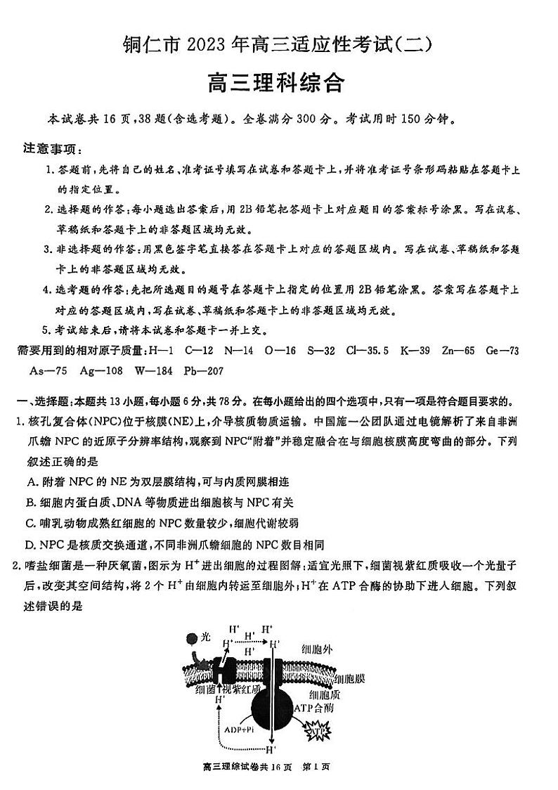 2023铜仁高三下学期适应性考试（二）理科综合试卷PDF版无答案01