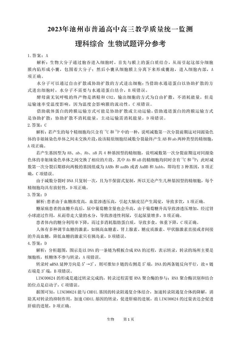 2023届安徽省池州市一模理综试题03