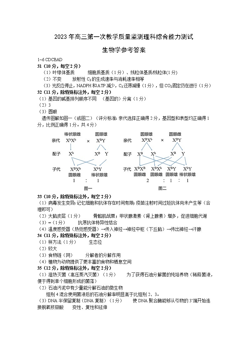 2023高三一模生物学答案第1页