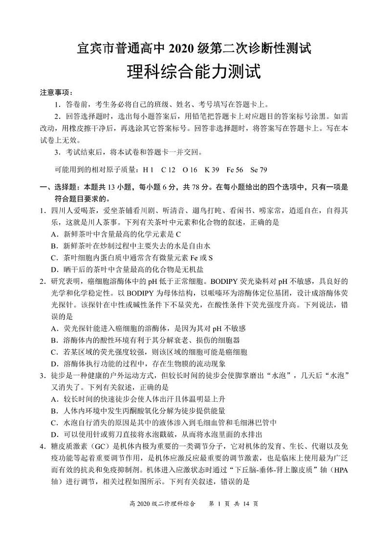 2023届四川省宜宾市高三下学期第二次诊断考试理科综合试题（PDF版）01